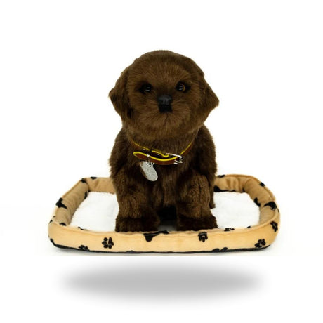 Front view of Sweet Petzzz Chocolate Labrador realistic toy dog.