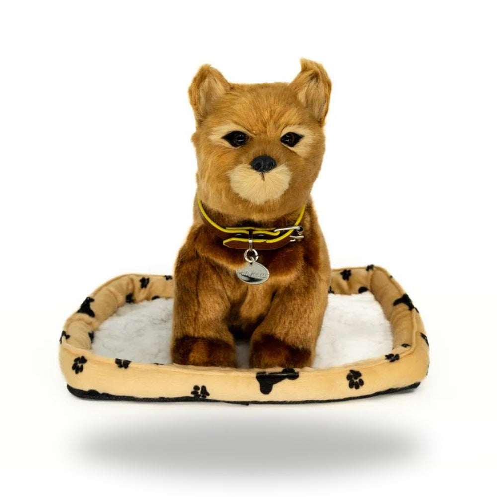 Realistic Dingo Toy Dog - Sweet Petzzz | Teddy & CoFunland – Teddy & Co ...