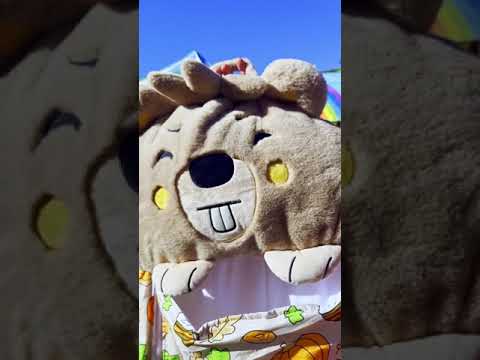 Video showcasing various kids' sleeping bag models including tiger design from Teddy & Co Funland